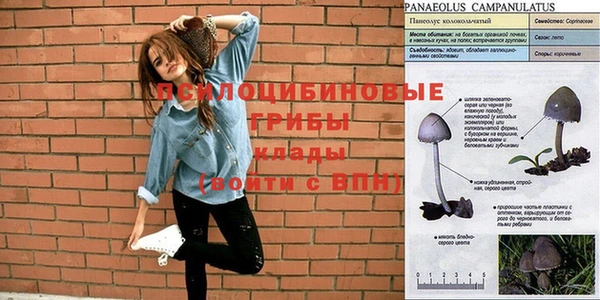 меф VHQ Козельск