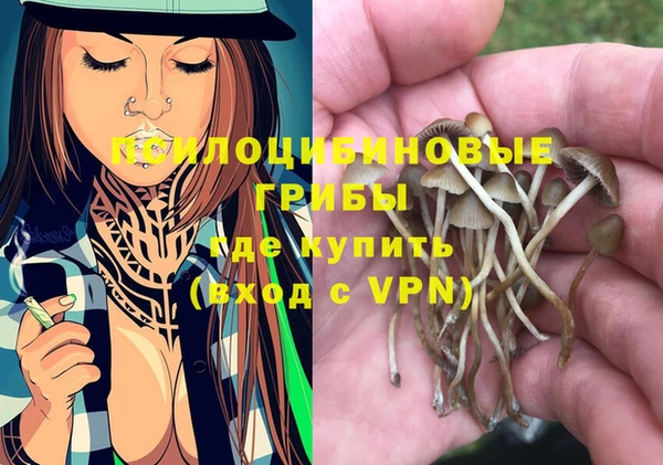 тгк Козловка