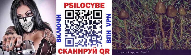 Купить закладки  Навашино  Галлюциногенные грибы Magic Shrooms 